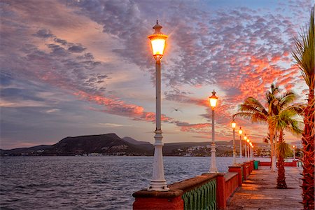 palm tree on the ocean - Waterfront at dawn, Baja California, Mexico Stock Photo - Rights-Managed, Code: 862-07910243