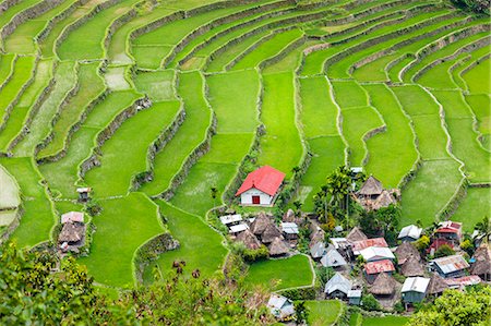 philippine rice paddies - Asia, South East Asia, Philippines, Cordilleras, Banaue; Batad, Zoe Logos church and village houses in the UNESCO World heritage listed Ifugao rice terraces of the Philippine cordilleras Stock Photo - Rights-Managed, Code: 862-07910420