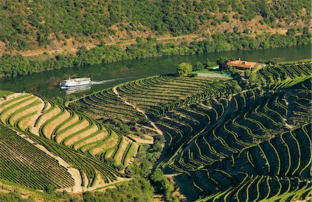 douro - Portugal, Douro, Terraced vineyards and boat Foto de stock - Con derechos protegidos, Código: 862-07910464