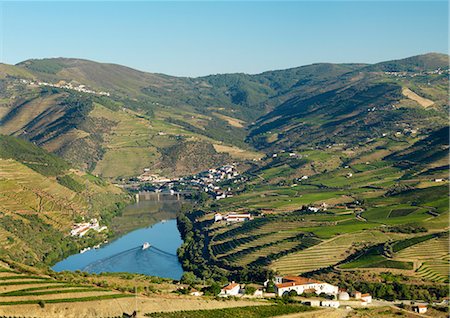 Portugal, Douro, Peso da ReguaTerraced vineyards Foto de stock - Con derechos protegidos, Código: 862-07910463