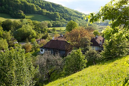 romania not people not animal - Romania, Transylvania, Zalanpatak. The guesthouses at Zalanpatak owned by The Prince of Wales. Photographie de stock - Rights-Managed, Code: 862-07910661