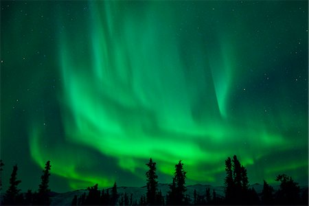 Aurora Borealis at Chena Hot Springs, Fairbanks, Alaska, USA Stock Photo - Rights-Managed, Code: 862-07910919