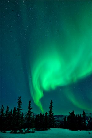 Aurora Borealis at Chena Hot Springs, Fairbanks, Alaska, USA Fotografie stock - Rights-Managed, Codice: 862-07910928