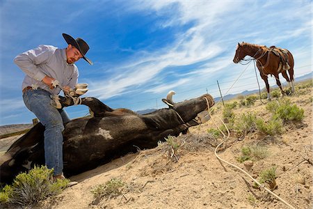 simsearch:400-05699386,k - Cowboys near Warm Springs, Nevada, USA  MR Foto de stock - Direito Controlado, Número: 862-07911012