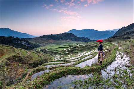 simsearch:862-07911054,k - Vietnam, Sapa. Red Dao woman on rice paddies at sunrise (MR) Stock Photo - Rights-Managed, Code: 862-07911126