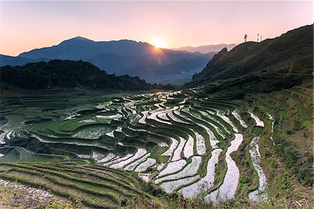 simsearch:862-07911107,k - Vietnam, Sapa. Sunrise over rice paddies Fotografie stock - Rights-Managed, Codice: 862-07911130