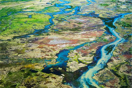 Brazil, Pantanal, Mato Grosso do Sul. An aerial view of a section of the Pantanal which is the world' s largest tropical wetland area. Roughly 80% of the floodplains are submerged during the rainy seasons. Foto de stock - Con derechos protegidos, Código: 862-08089976