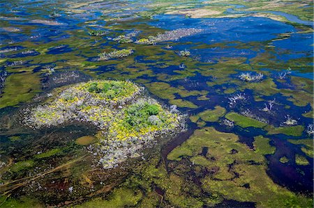 desastre natural - Brazil, Pantanal, Mato Grosso do Sul. An aerial view of a section of the Pantanal which is the world' s largest tropical wetland area. Roughly 80% of the floodplains are submerged during the rainy seasons. Foto de stock - Con derechos protegidos, Código: 862-08089977