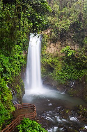 Costa Rica, Alajuela, Vara Blanca. Magia Blanca waterfall at La Paz Waterfall Gardens. Photographie de stock - Rights-Managed, Code: 862-08090066