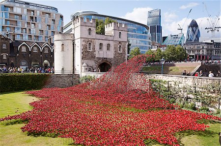 UK, England, London. Blood Swept Lands and Seas of Red, a major art installation at the Tower of London, marking one hundred years since the first full day of Britain's involvement in the First World War. Stock Photo - Rights-Managed, Code: 862-08090099