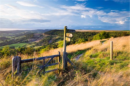 path sign - United Kingdom, England, North Yorkshire, Sutton Bank. A signpost on the Cleveland Way. Stock Photo - Rights-Managed, Code: 862-08090127