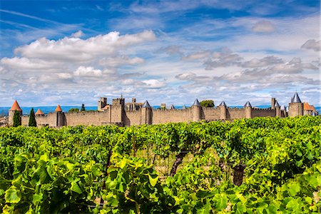 france vineyard - Vineyard with the medieval fortified citadel behind, Carcassonne, Languedoc-Roussillon, France Photographie de stock - Rights-Managed, Code: 862-08090141