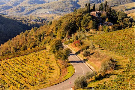 simsearch:862-08699447,k - Italy, Italia. Tuscany, Toscana. Firenze district. Chianti. Greve in Chianti Foto de stock - Con derechos protegidos, Código: 862-08090461