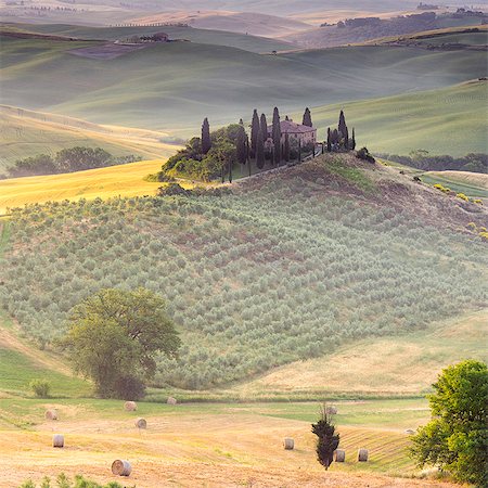 podere belvedere - Italy, Tuscany, Siena district, Orcia Valley, Podere Belvedere near San Quirico d'Orcia. Stock Photo - Rights-Managed, Code: 862-08090485
