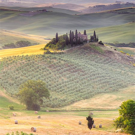 podere belvedere - Italy, Tuscany, Siena district, Orcia Valley, Podere Belvedere near San Quirico d'Orcia. Foto de stock - Direito Controlado, Número: 862-08090485