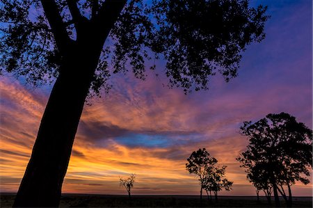 simsearch:862-06543255,k - Africa, Kenya, Masai Mara, Narok County. Sunset over the Savannah landscape Stock Photo - Rights-Managed, Code: 862-08090709