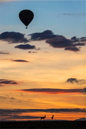 damaliscus korrigum - Africa, Kenya, Narok County, Masai Mara National Reserve. Silhouetted hot air balloon floating above two Topi at sunrise Stockbilder - Lizenzpflichtiges, Bildnummer: 862-08090721