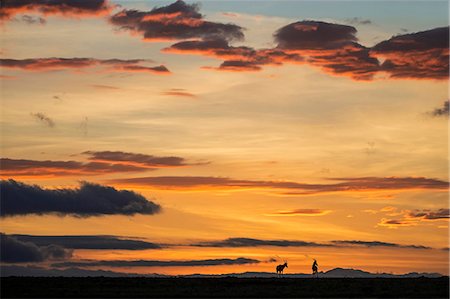 Africa, Kenya, Narok County, Masai Mara National Reserve. Silhouetted Topi at sunrise Stock Photo - Rights-Managed, Code: 862-08090722