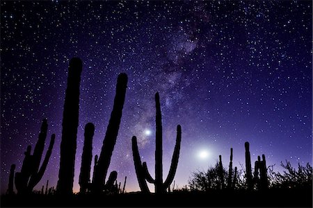 Night sky, La Ventanaz, Baja California, Mexico Foto de stock - Con derechos protegidos, Código: 862-08090901