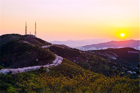 south korea places - Asia, Republic of Korea, South Korea, Busan, spring blossom Stock Photo - Rights-Managed, Code: 862-08091088