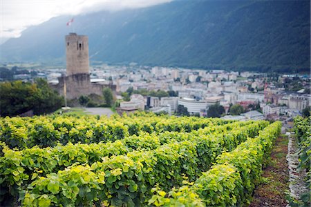 simsearch:862-03354352,k - Europe, Switzerland, Swiss Alps, Valais, Martigny, vineyards and Martigny castle Foto de stock - Con derechos protegidos, Código: 862-08091328