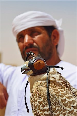 falcone - An Arab falconer in the Empty Quarter desert Rub Al Khali, Abu Dhabi, United Arab Emirates, Asia Fotografie stock - Rights-Managed, Codice: 862-08091353