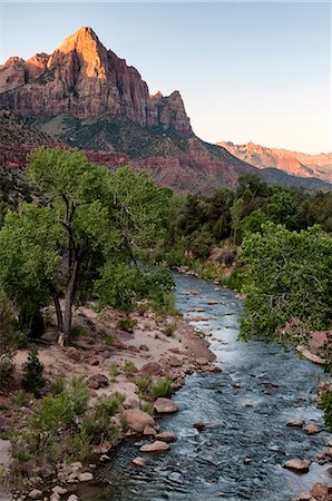 parque nacional zion - U.S.A., Utah, Zion National Park, The Watchman Foto de stock - Con derechos protegidos, Código: 862-08091371