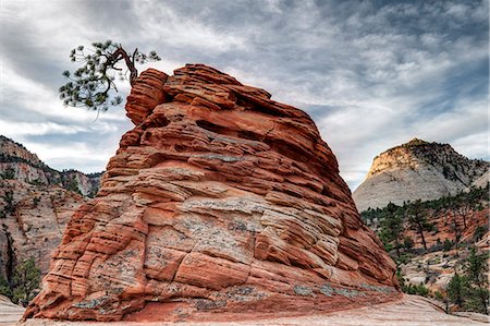 parque nacional zion - U.S.A., Utah, Zion National Park Foto de stock - Con derechos protegidos, Código: 862-08091392