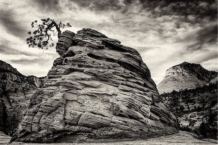 parque nacional zion - U.S.A., Utah, Zion National Park Foto de stock - Con derechos protegidos, Código: 862-08091393