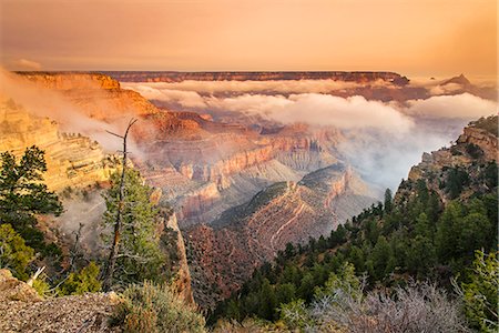 dramatic landscape - Foggy sunrise in the south rim, Grand Canyon National Park, Arizona, USA Foto de stock - Con derechos protegidos, Código: 862-08091444