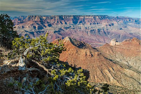 Top view of south rim, Grand Canyon National Park, Arizona, USA Photographie de stock - Rights-Managed, Code: 862-08091443