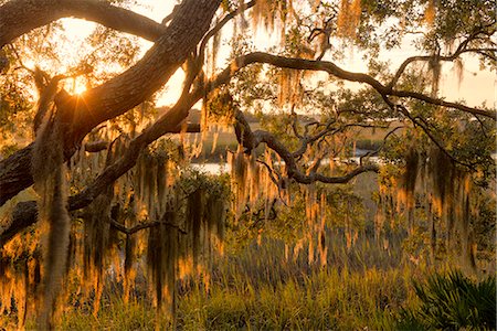 USA, Georgia, Little St. Simons Island, the lodge on the island at sunset Photographie de stock - Rights-Managed, Code: 862-08091517