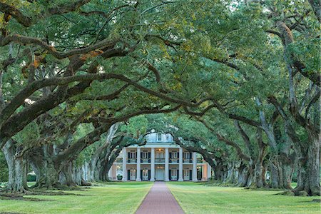 simsearch:862-08091480,k - USA, Louisiana, St. James Parish, Vacherie, Oak Alley Plantation Foto de stock - Con derechos protegidos, Código: 862-08091525