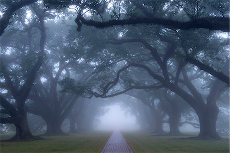 USA, Louisiana, St. James Parish, Vacherie, Oak Alley Plantation Foto de stock - Con derechos protegidos, Código: 862-08091527