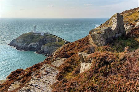 promontoire - Europe, Wales,  Anglesey, South Stack Lighthouse Foto de stock - Con derechos protegidos, Código: 862-08091573