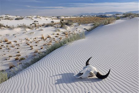 White Sands National Monument, New Mexico , USA Foto de stock - Con derechos protegidos, Código: 862-08274059