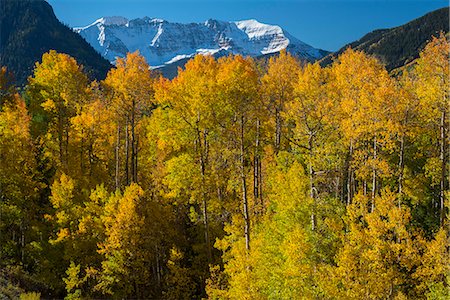 san miguel mountains - USA, Colorado, San Juan Mountain range in the fall Stock Photo - Rights-Managed, Code: 862-08274079