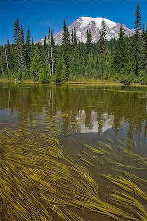 simsearch:862-06677572,k - USA, Washington, Mount Rainier National Park, Reflection of Mt. Rainier Stockbilder - Lizenzpflichtiges, Bildnummer: 862-08274089