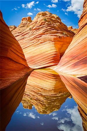The Wave, Paria Canyon Vermillion Cliffs wilderness area, Arizona. Rock formation reflecting on a rare puddle of water in the hot rocky desert. Foto de stock - Direito Controlado, Número: 862-08274099