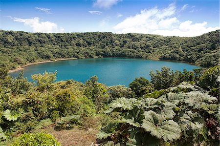 simsearch:862-03711722,k - Central America, Costa Rica, Poas volcano   a crater lake at the active 2,708 metre (8,885 ft) stratovolcano in central Costa Rica Foto de stock - Con derechos protegidos, Código: 862-08272953