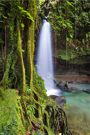 simsearch:862-06542651,k - Dominica, Castle Bruce. Emerald Pool, one of the most popular tourist attractions of Dominica. Foto de stock - Con derechos protegidos, Código: 862-08272996
