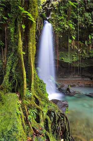 simsearch:862-06825294,k - Dominica, Castle Bruce. Emerald Pool, one of the most popular tourist attractions of Dominica. Photographie de stock - Rights-Managed, Code: 862-08272996