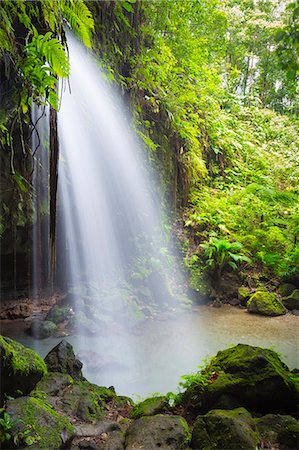 simsearch:862-06542651,k - Dominica, Castle Bruce. Emerald Pool, one of the most popular tourist attractions of Dominica. Foto de stock - Con derechos protegidos, Código: 862-08272997