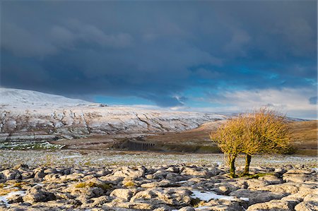 simsearch:862-03731168,k - United Kingdom, England, North Yorkshire, Chapel Le Dale. Ribblehead Viaduct and Whernside in Winter. Photographie de stock - Rights-Managed, Code: 862-08273043