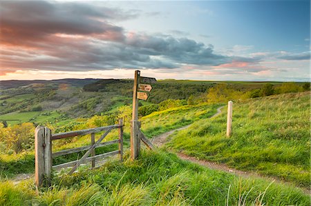 United Kingdom, England, North Yorkshire, Sutton Bank. A signpost on the Cleveland Way. Stock Photo - Rights-Managed, Code: 862-08273060