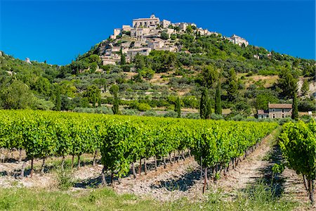 france - Vineyards with village of Gordes in the background, Vaucluse, Provence, France Stock Photo - Rights-Managed, Code: 862-08273095