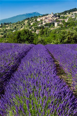simsearch:862-08090159,k - View of village of Aurel with field of lavander in bloom, Provence, France Stock Photo - Rights-Managed, Code: 862-08273103