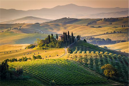 Val d'Orcia, Tuscany, Italy. A lonely farmhouse with cypress and olive trees, rolling hills. Photographie de stock - Rights-Managed, Code: 862-08273410