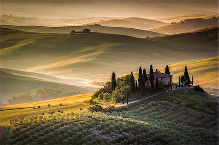 Val d'Orcia, Tuscany, Italy. A lonely farmhouse with cypress and olive trees, rolling hills. Photographie de stock - Rights-Managed, Code: 862-08273412