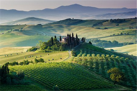 Val d'Orcia, Tuscany, Italy. A lonely farmhouse with cypress and olive trees, rolling hills. Photographie de stock - Rights-Managed, Code: 862-08273421